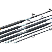 PENN Carnage III Boat Conventional Fishing Rod : Buy Online at Best Price  in KSA - Souq is now : Sporting Goods