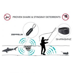 Sharkbanz Fishing – Zeppelin