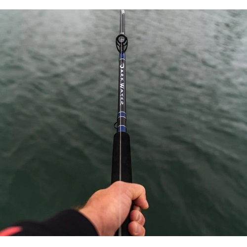 Custom Fishing Rod, Custom Tackle, Bass Rod, Thread Art, Fishing
